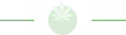 Weed plant
